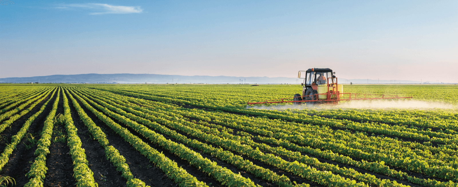 大宝娱乐-LG游戏|PT游戏|CQ9游戏