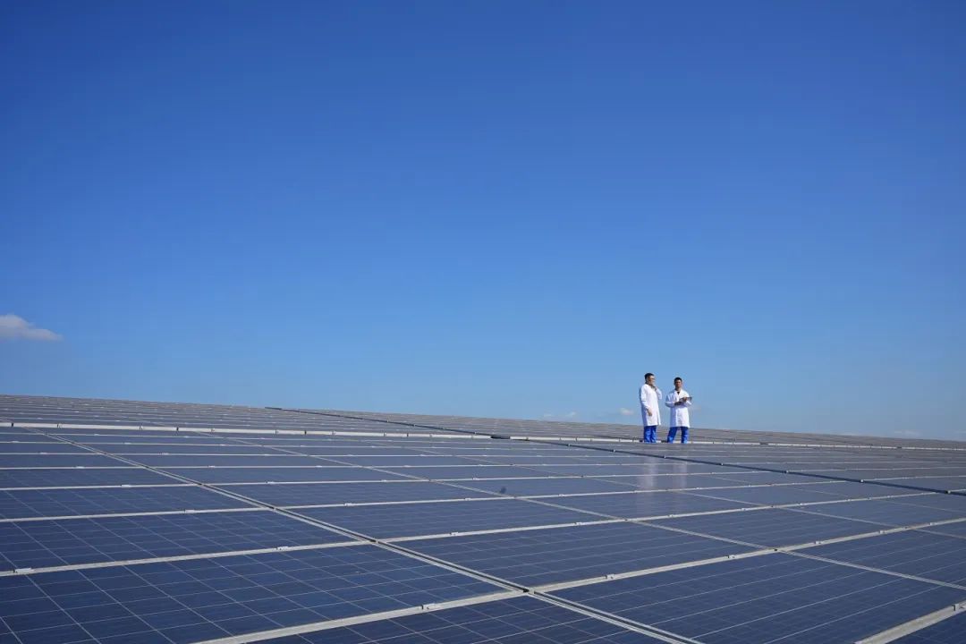 大宝娱乐-LG游戏|PT游戏|CQ9游戏